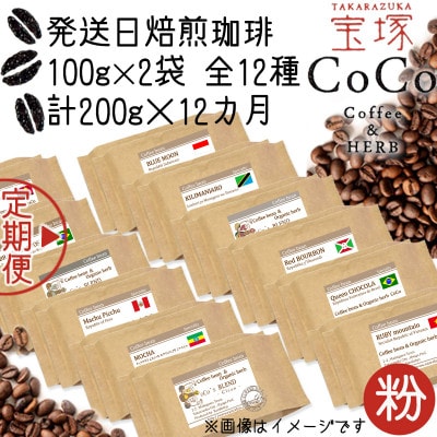 【毎月定期便】【宝塚】12ヶ月mini【粉】(発送日自家焙煎珈琲豆・全12種 計2.4kg)全12回