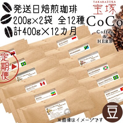 【毎月定期便】【宝塚】12ヶ月定期便R【豆】(発送日自家焙煎珈琲豆・全12種 計4.8kg)全12回