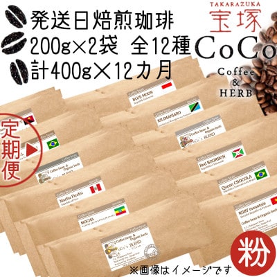 【毎月定期便】【宝塚】12ヶ月定期便R【粉】(発送日自家焙煎珈琲豆・全12種 計4.8kg)全12回