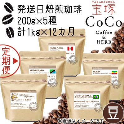 【毎月定期便】【宝塚】12ヶ月の定期便【豆】(発送日自家焙煎珈琲豆5種類)全12回