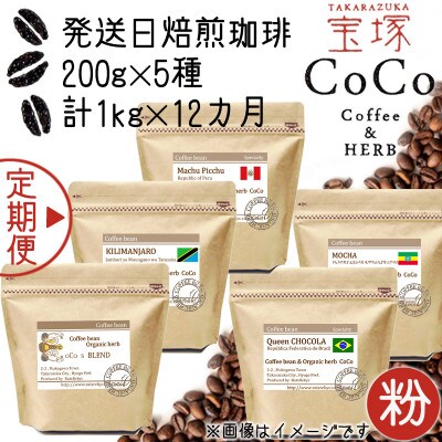 【毎月定期便】【宝塚】12ヶ月の定期便【粉】(発送日自家焙煎珈琲豆5種類)全12回