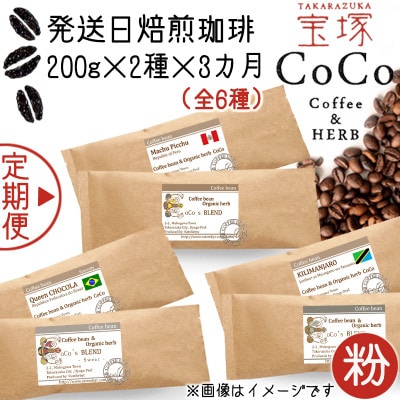 【毎月定期便】【宝塚】3ヶ月の定期便B【粉】(発送日自家焙煎珈琲豆・全6種 計1.2kg)全3回
