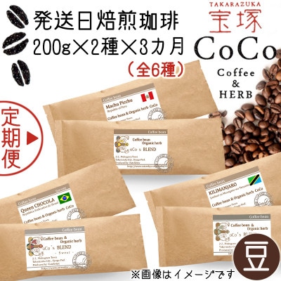 【毎月定期便】【宝塚】3ヶ月の定期便B【豆】(発送日自家焙煎珈琲豆・全6種 計1.2kg)全3回