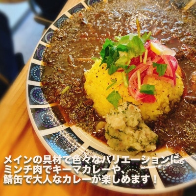 スパイスカレーが簡単に作れるキット (KANTAN spice SET)