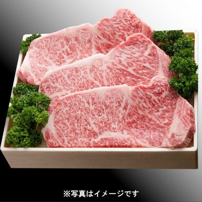 神戸牛(神戸ビーフ) サーロインステーキ 200g×3枚 計600g TZST3