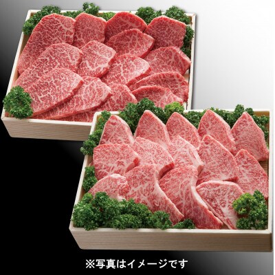 神戸牛(神戸ビーフ) 焼肉セット 計1200g TZYS5