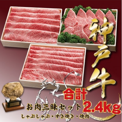神戸牛(神戸ビーフ) お肉三昧セット 計2400g TZSYS10
