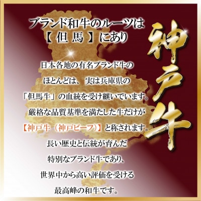 訳あり 神戸牛(神戸ビーフ)切り落とし肉 計800g TZS1-2 【2026年4月より順次発送】