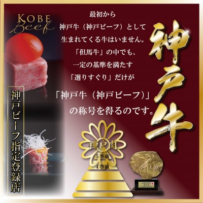 訳あり 神戸牛 部位おまかせ焼肉用 400g TZY1 【2026年4月より順次発送】