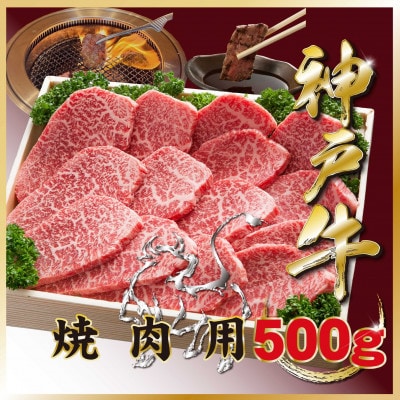 神戸牛(神戸ビーフ) 焼き肉用 500g TZY2 【2026年4月より順次発送】