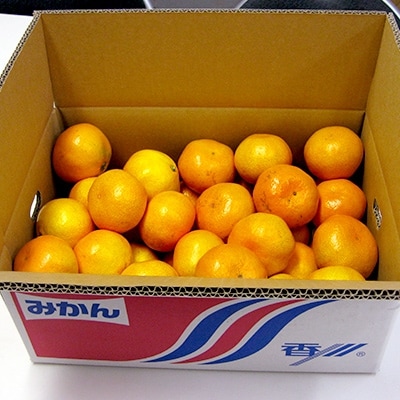 観音寺市産　温州みかん5kg