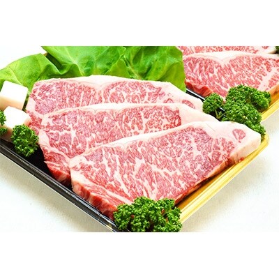 720牧場グループ【宮崎県産・肉専用種】ロース肉特盛セット(計2,700g)