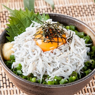 湘南江の島　しらす問屋とびっちょ　釜揚げしらすセット(120g×4個)