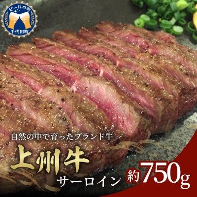 牛肉 ステーキ サーロイン 上州牛  750g 群馬 県 千代田町 ch003-030a001
