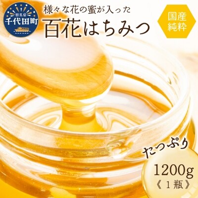 はちみつ 1200g 千代田町の蜂蜜 百花蜂蜜 ch011-015h013