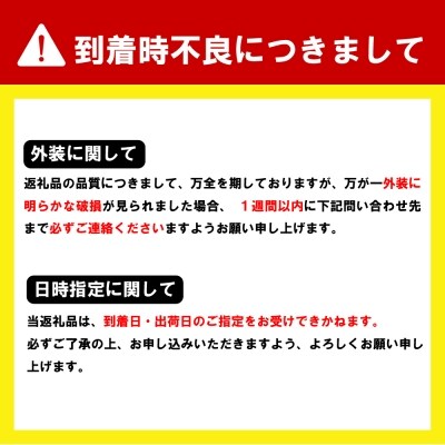 ノンアルコール サントリー からだを想う オールフリー (機能性表示食品) 500ml×24本