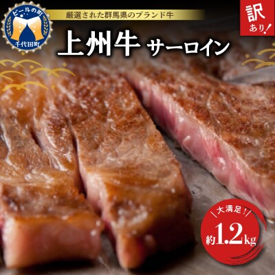 【訳あり】牛肉 サーロイン 上州牛 約1.2kg (約200g×6枚)  ch013-040a005