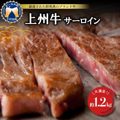 牛肉 サーロイン 上州牛 約1.2kg (約200g×6枚)  ch013-040a005r