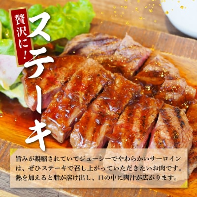 牛肉 サーロイン 上州牛 約1.2kg (約200g×6枚)  ch013-040a005