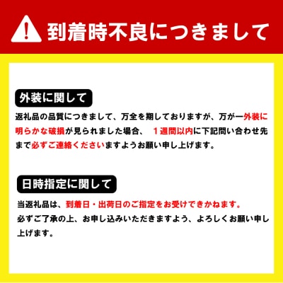 牛肉 ハンバーグ (180g×15個)手こね 上州牛100% ch013-001rr