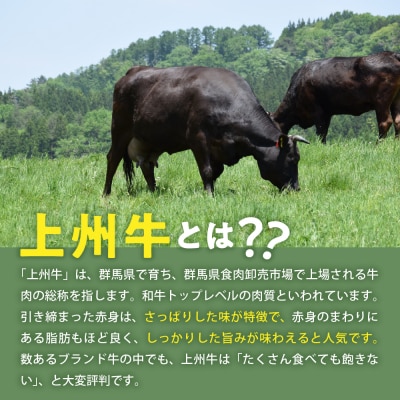 牛肉 ハンバーグ (180g×10個)手こね 上州牛100% ch013-002rr