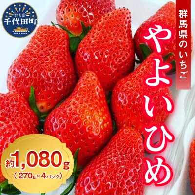 《先行受付》※2023年5月より順次発送※ いちご「 やよいひめ 」約270g×4パック | ふるさと納税のお礼品