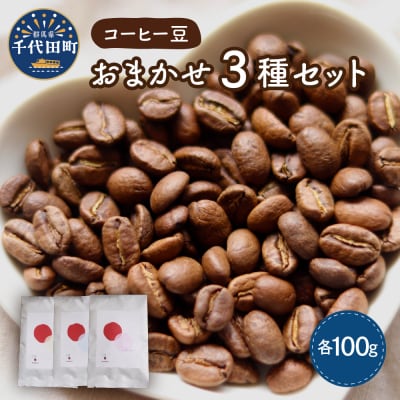 コーヒー豆 おまかせ セット (100g&times;3種類) ch029-001rr