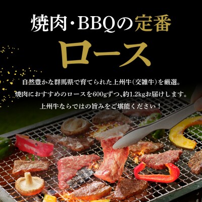 牛肉 ロース 上州牛 1.2kg(600g×2パック) ch013-005rr