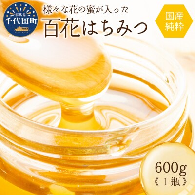 はちみつ 600g 千代田町の蜂蜜 百花蜂蜜 ch011-001r
