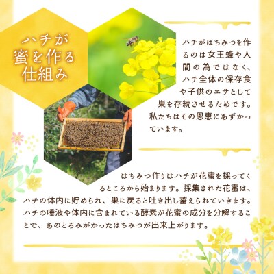 はちみつ 600g 千代田町の蜂蜜 百花蜂蜜 ch011-001r