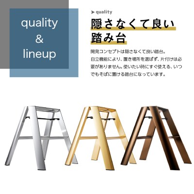 デザイン 踏台 【ルカーノ】2ステップ ML2.0-2J(SI)シルバー　ch012-004s