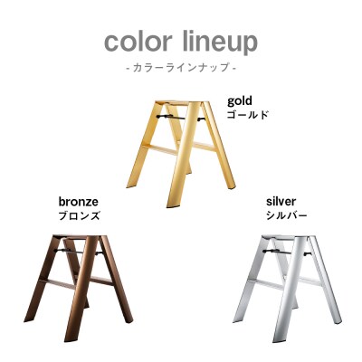 デザイン 踏台 【ルカーノ】2ステップ ML2.0-2J(SI)シルバー　ch012-004s