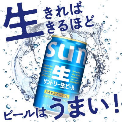 【6ヵ月定期便】2箱セット トリプル生 350ml ビール ch016-022s-3rz