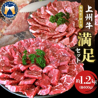 上州牛カルビ ロース 満足セット 1.2kg(各600g×2パック) ch013-003hr
