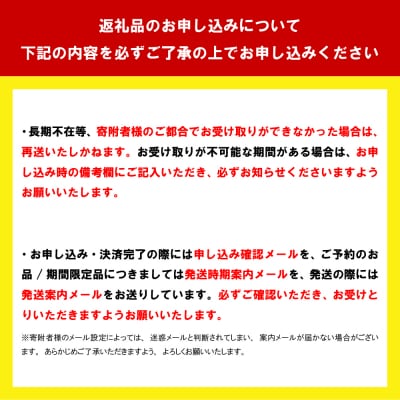 《先行受付》※2月発送※ いちご「 やよいひめ 」約270g×2パック ch002-007-2