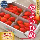 《先行受付》※5月発送※ いちご「 やよいひめ 」約270g×2パック ch002-007-5