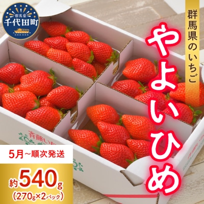 《先行受付》※5月より順次発送※ いちご 約270g×2パック ch002-004-5