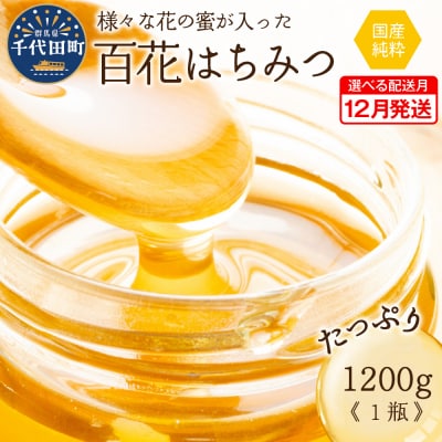 《2025年12月発送》 はちみつ 千代田町の蜂蜜1200g 百花蜂蜜 ch011-004rr-12