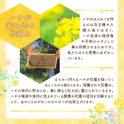 《2025年12月発送》 はちみつ 千代田町の蜂蜜1200g 百花蜂蜜 ch011-004rr-12