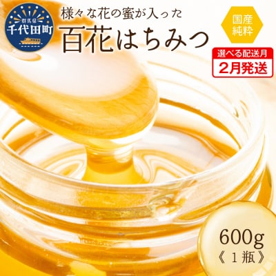 《2026年2月発送》 はちみつ 【千代田町の蜂蜜】600g 百花蜂蜜 ch011-001rr-02