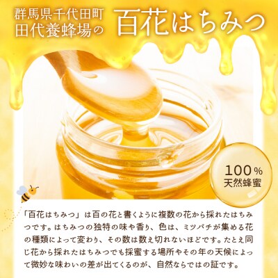 《2025年8月発送》 はちみつ 【千代田町の蜂蜜】600g 百花蜂蜜 ch011-001rr-08