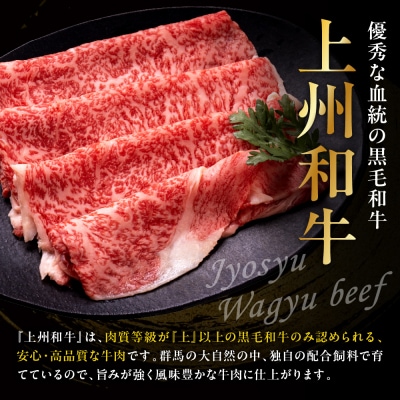 上州和牛(サーロイン)すきやき・焼肉用　約760g(380g×2p)