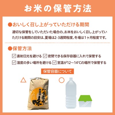 【令和7年度産】 群馬県千代田町産 コシヒカリ 9kg × 1袋  ch044-002