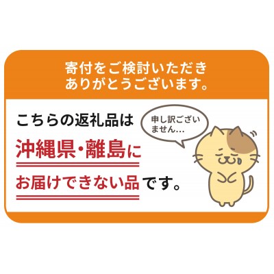 【3ヵ月定期便】2箱セット金麦ザ・ラガー350ml×24本 計6箱 ch016-011s-2z