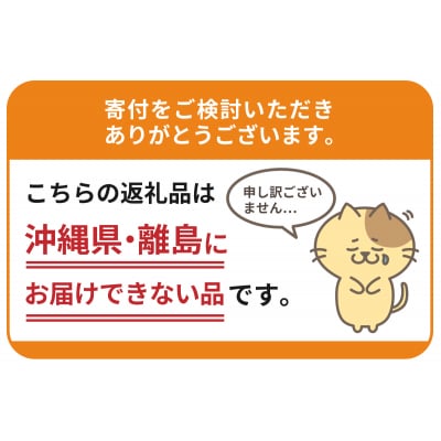 【6ヵ月定期便】2箱セット金麦〈ザ・ラガー〉350ml×24本 計12箱 ch016-011s-3z