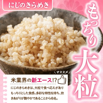 2027年4月発送【令和8年産】にじのきらめき5kg×1袋(玄米)ch049-003-4