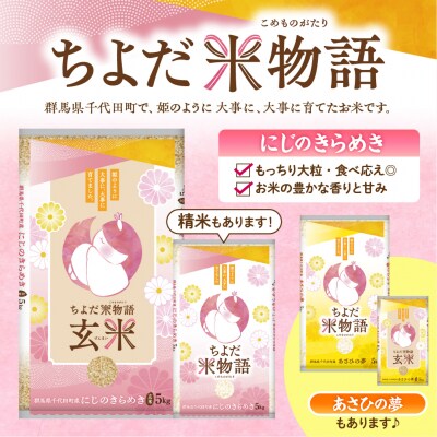 2027年5月発送【令和8年産】にじのきらめき5kg×1袋(玄米)ch049-003-5