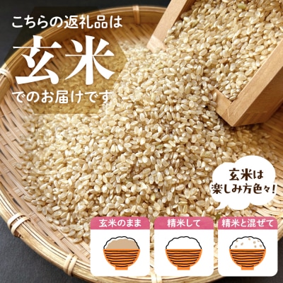 2026年5月発送 にじのきらめき 10kg (玄米) ch049-009r-05