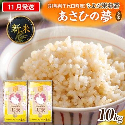 2026年11月発送【令和8年産】あさひの夢10kg(玄米)ch049-010-11