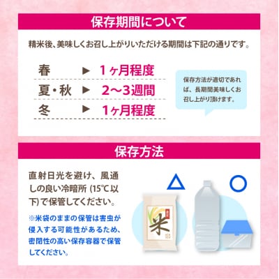 【3ヶ月定期便】にじのきらめき 5kg×2袋 (精米) 【2月発送】ch049-007-t3-02